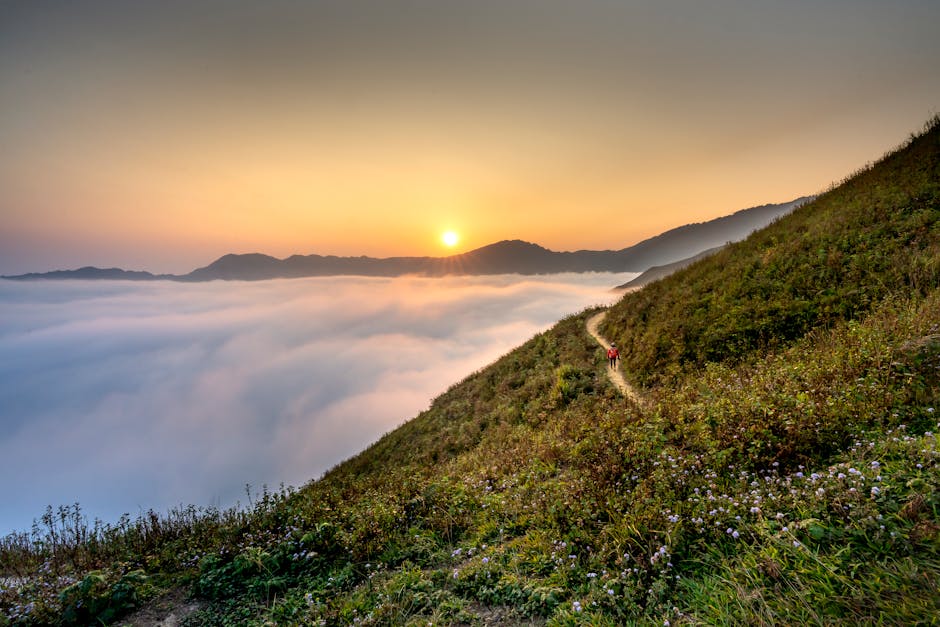 Addiction treatment services