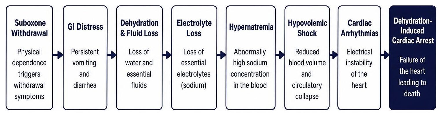Dehydration and electrolyte loss pathway leading to cardiac complications