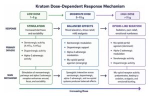 Kratom dose-dependent response mechanism from stimulation to opioid-like sedation