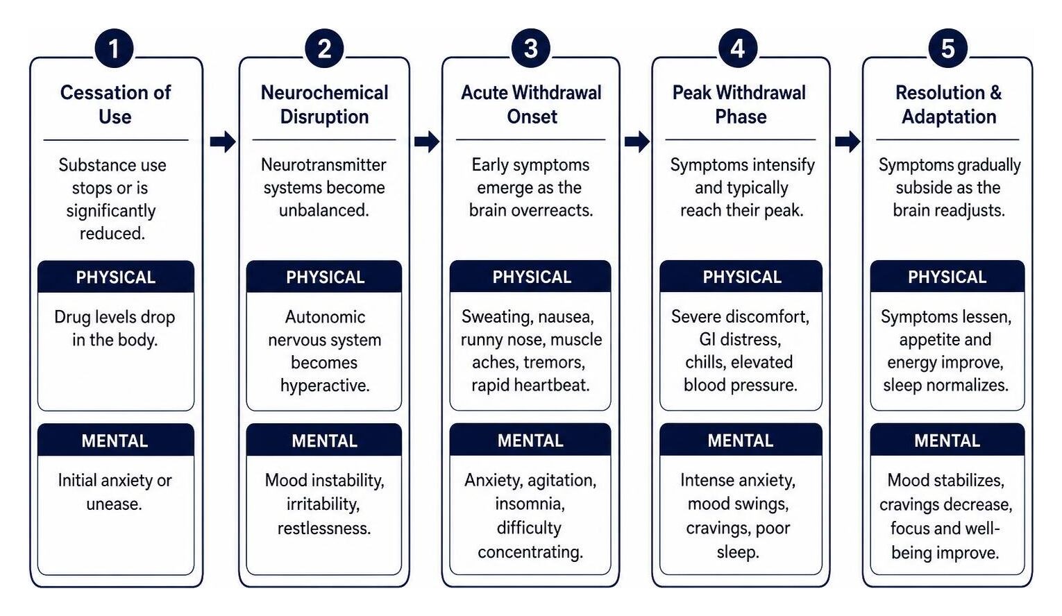 Sequence of physical and mental adaptations during substance withdrawal