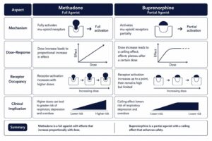 Opioid agonist receptor binding activity comparison