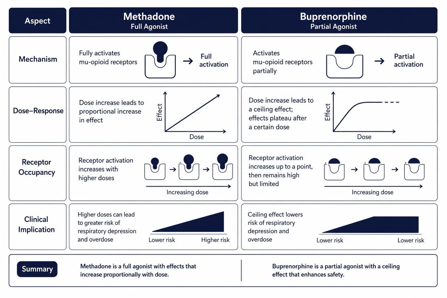 Opioid agonist receptor binding activity comparison